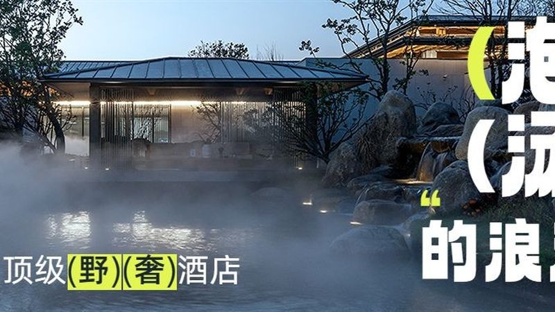 国内旅游公司排名揭秘：资质标准全解析